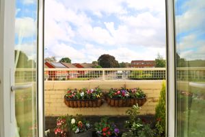 Photo 12- click for photo gallery